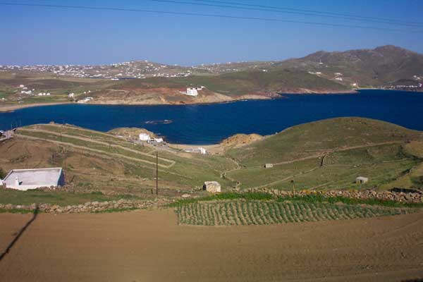 View of Ftelia area in Mykonos